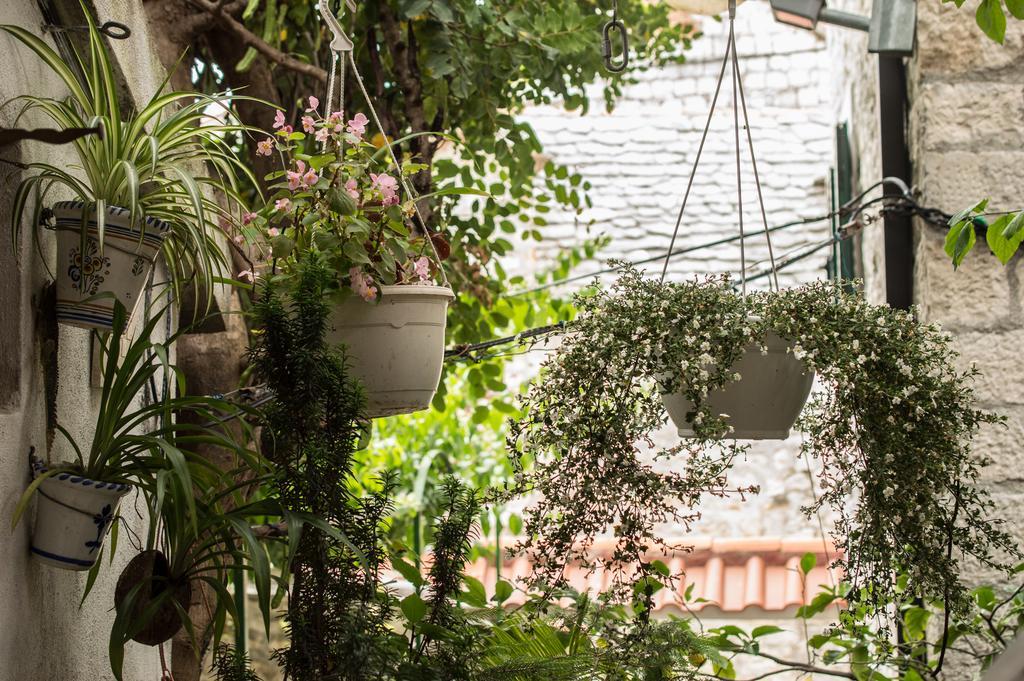 Adriana Downtown Guesthouse Сплит Экстерьер фото